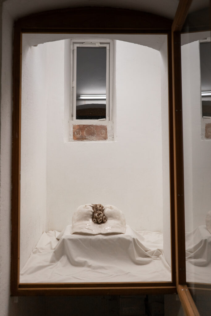 kunstfenster june kitho