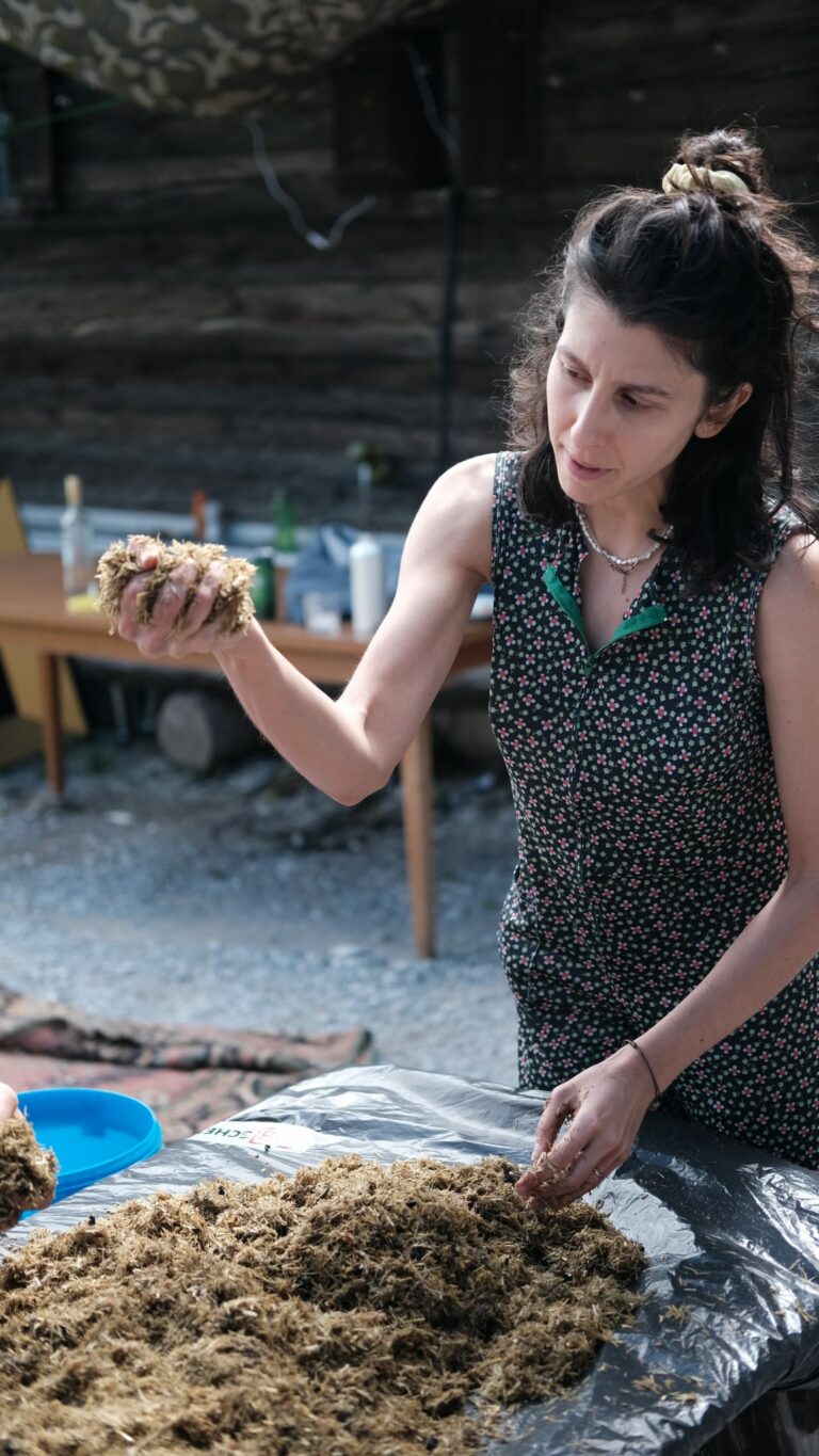 pilz workshop