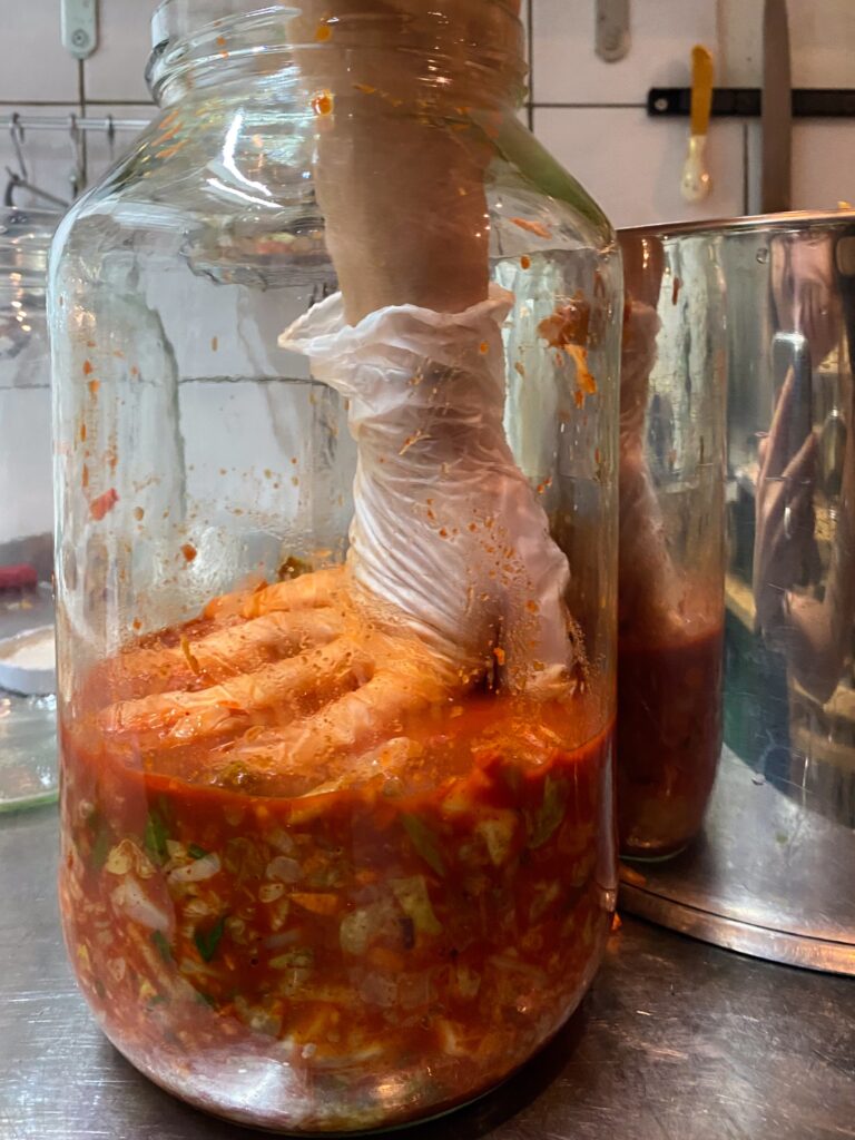 fermentieren workshop